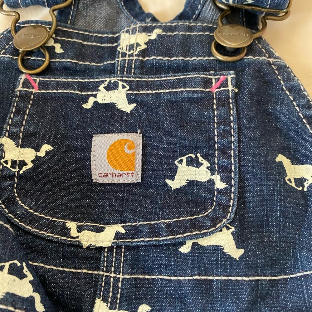 Carhartt horse overalls